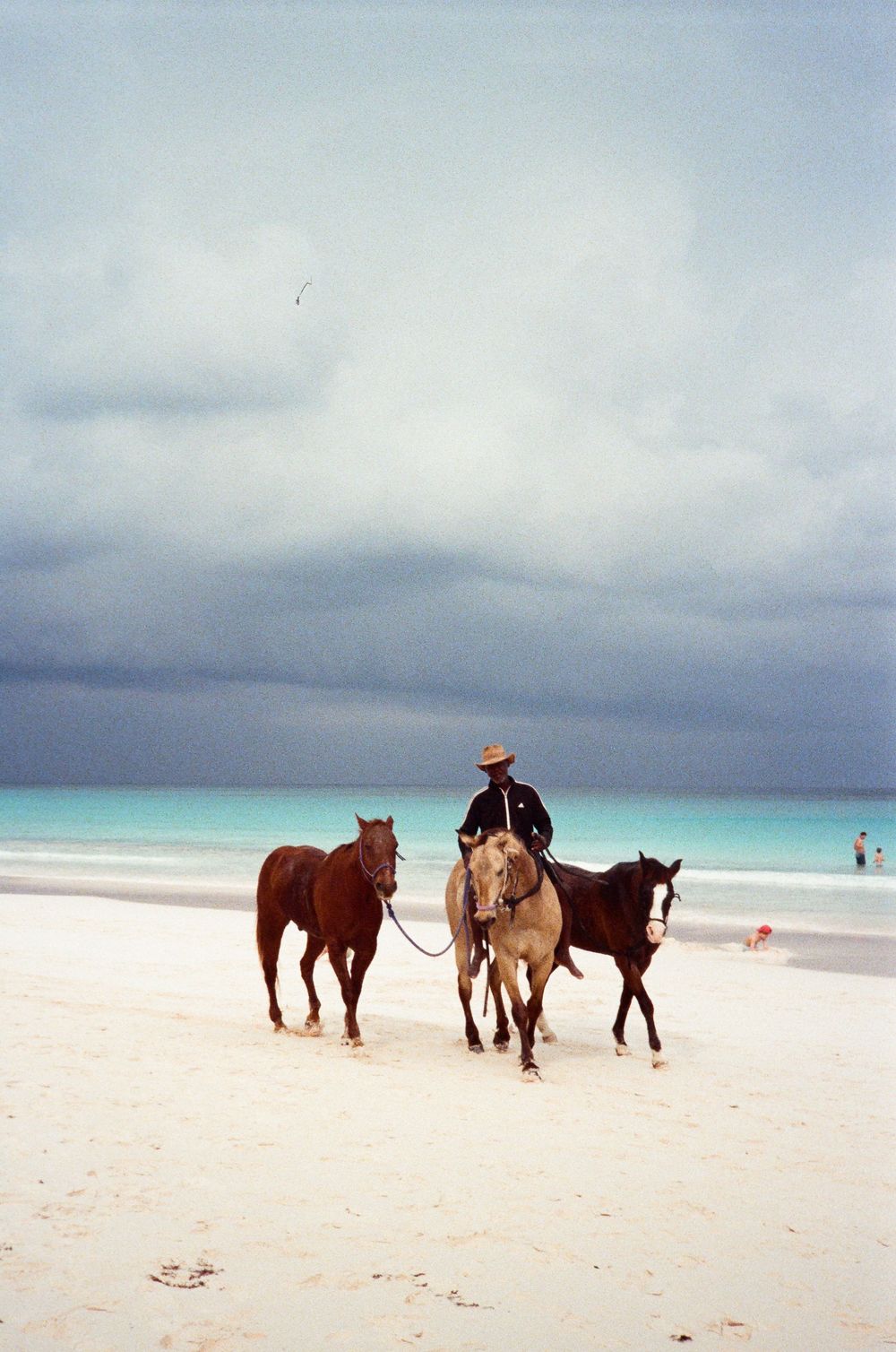 Person on horseback leading two horses along a white sandy beach with turquoise ocean and stormy sky.
