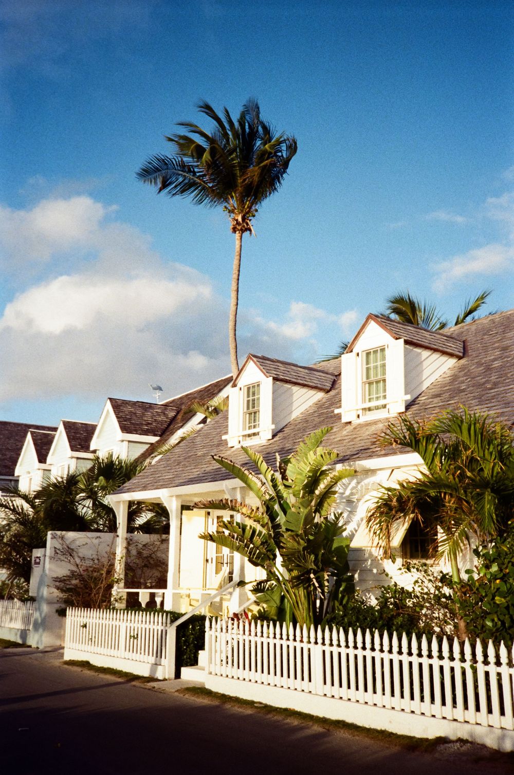 White colonial cottage with picket fence, tropical palm trees, and lush greenery under a bright blue sky in the Bahamas.