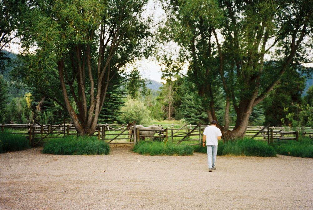 Person walking toward rustic wooden fence gate surrounded by tall trees in a scenic rural landscape.