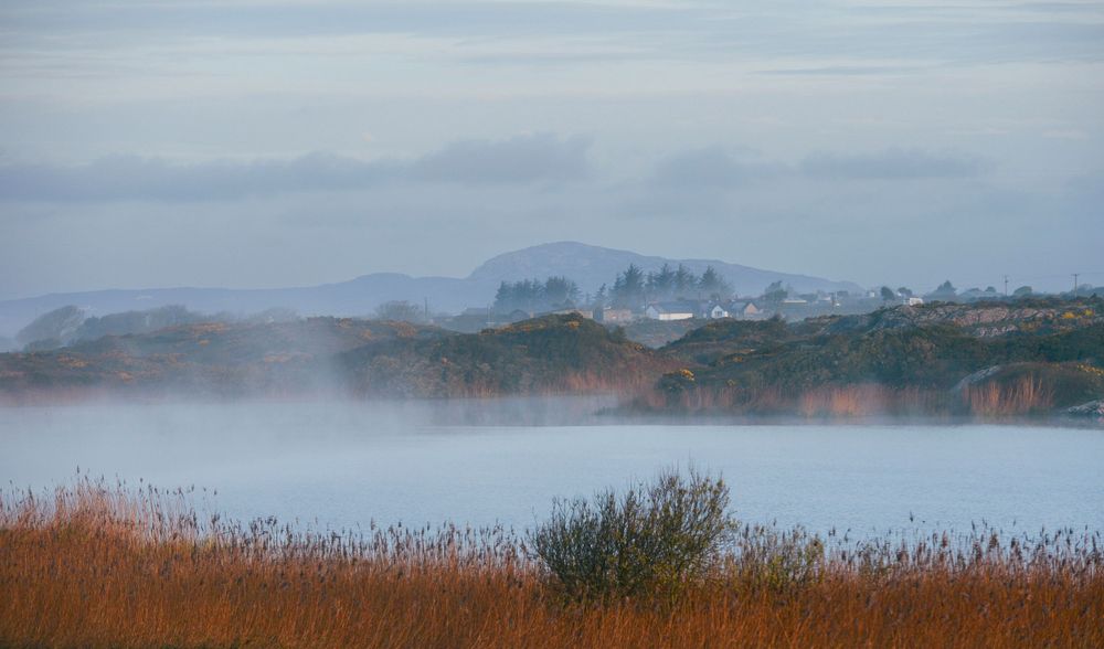 Llyn Penrhyn, RSPB Valley Wetlands, Holyhead, North Wales.