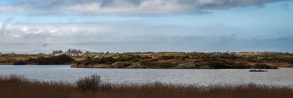Llyn Penrhyn, RSPB Valley Wetlands, Holyhead, North Wales.