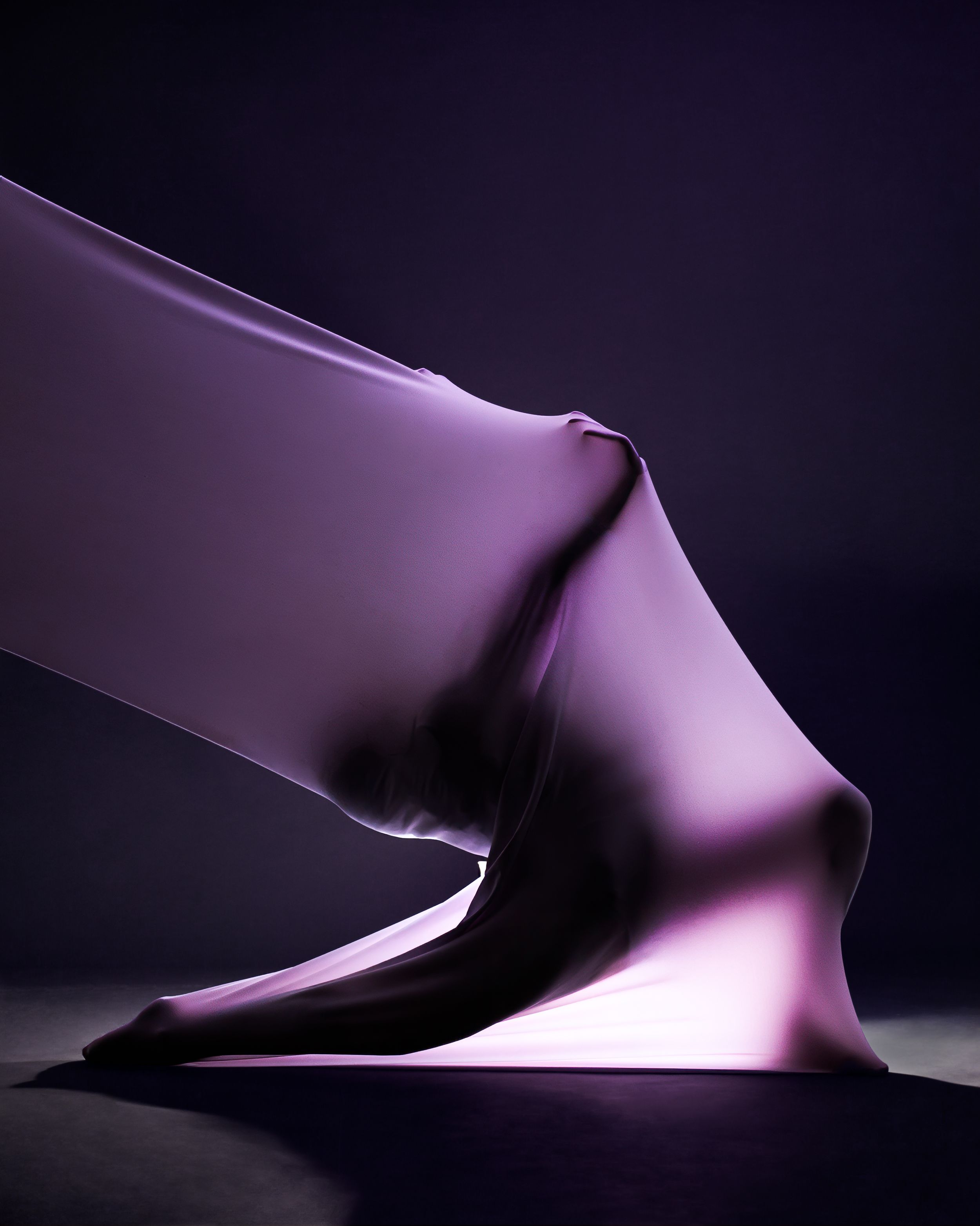 Abstract purple and black curved shapes creating dramatic shadows and highlights.