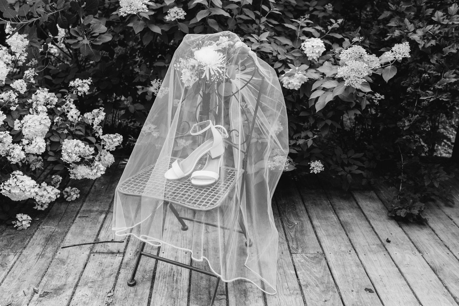 Professional wedding photo - brides