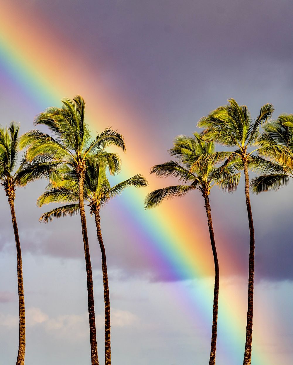 Hawaii Landscape Photography