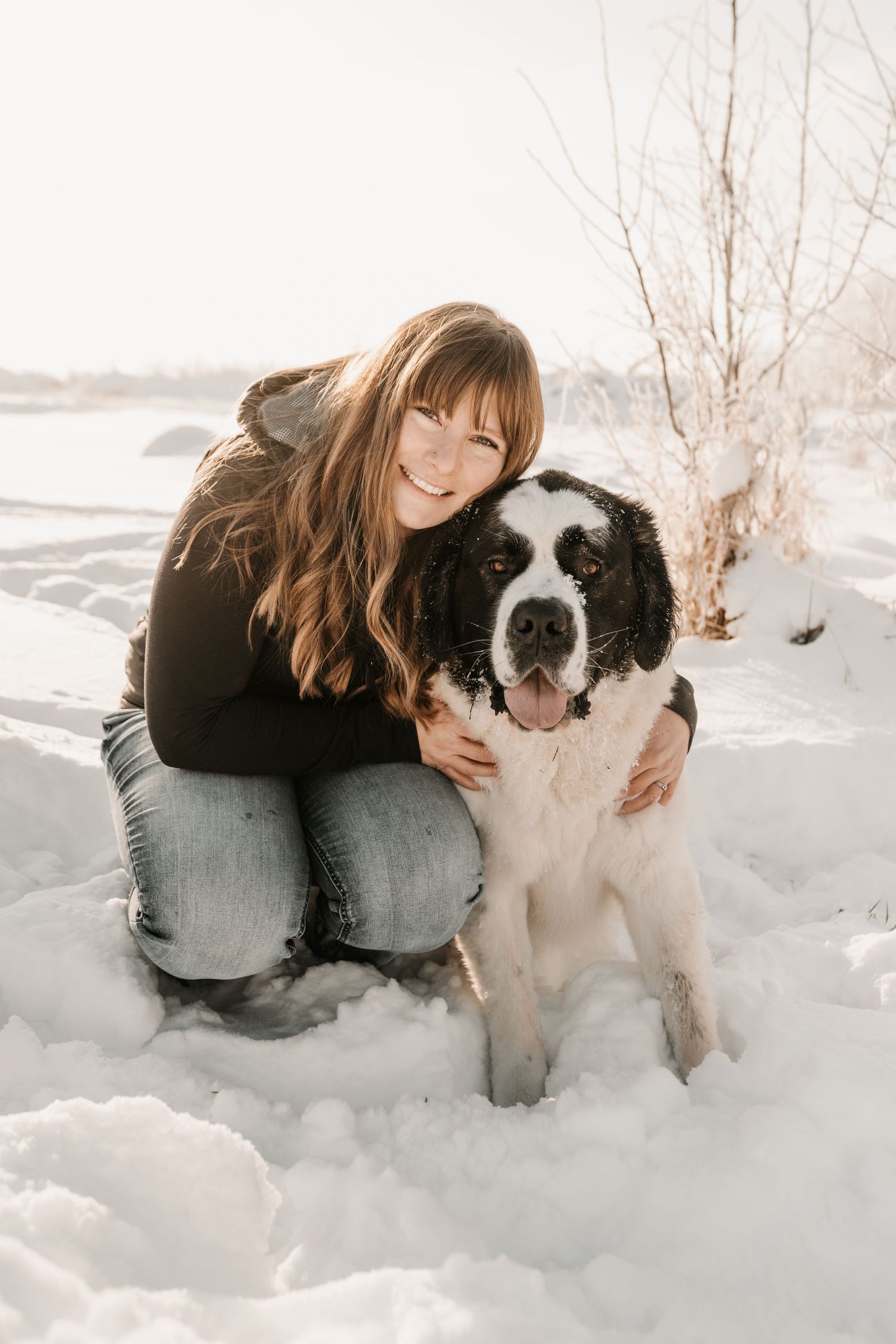 A Saint Bernard dog and person sit together in snow during winter, creating a heartwarming outdoor portrait.