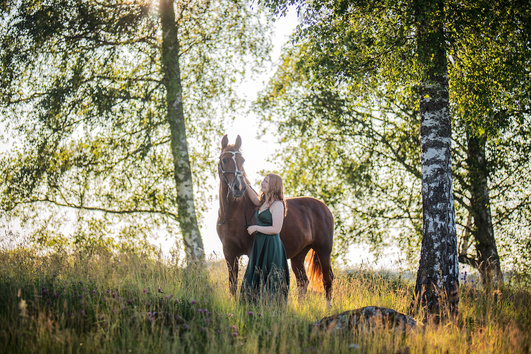 sunset, horse, dress