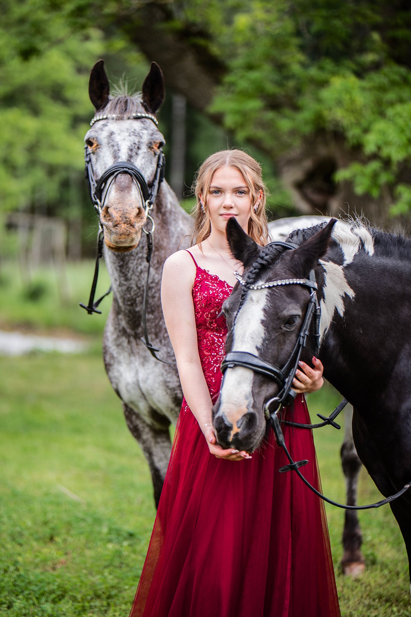 horse, dress