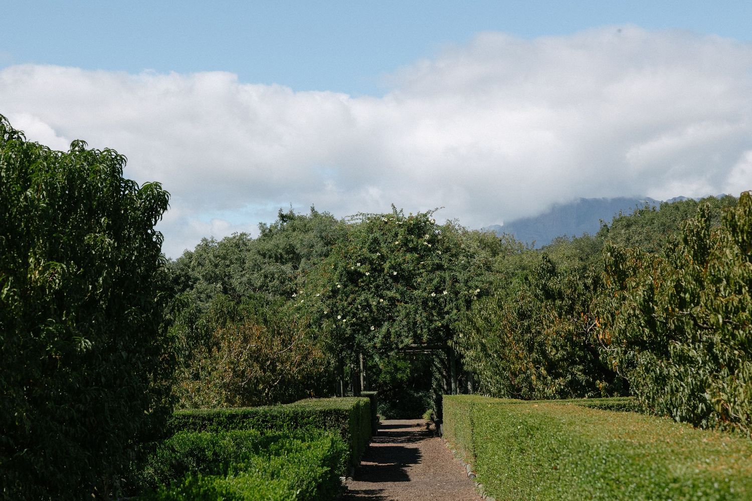 Allert and Lauren at Babylonstoren, documentary wedding photos capturing authentic celebrations.