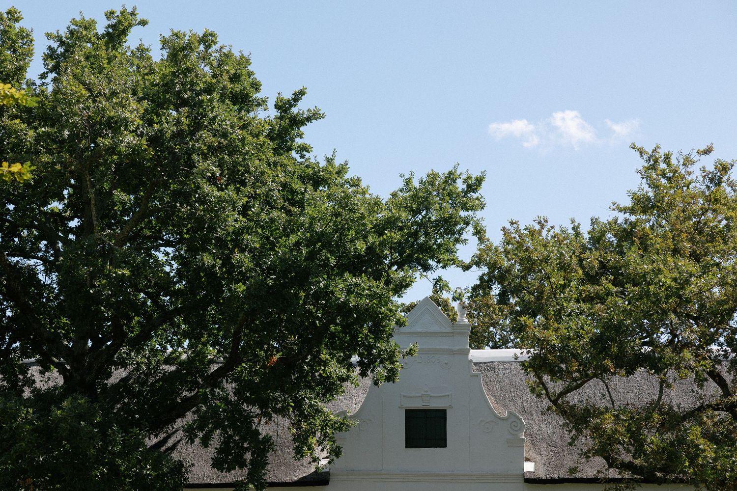 Allert and Lauren at Babylonstoren, documentary wedding photos capturing authentic celebrations.