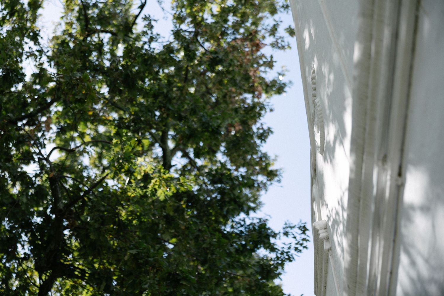 Allert and Lauren at Babylonstoren, documentary wedding photos capturing authentic celebrations.