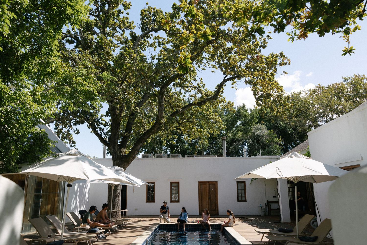 Allert and Lauren at Babylonstoren, documentary wedding photos capturing authentic celebrations.