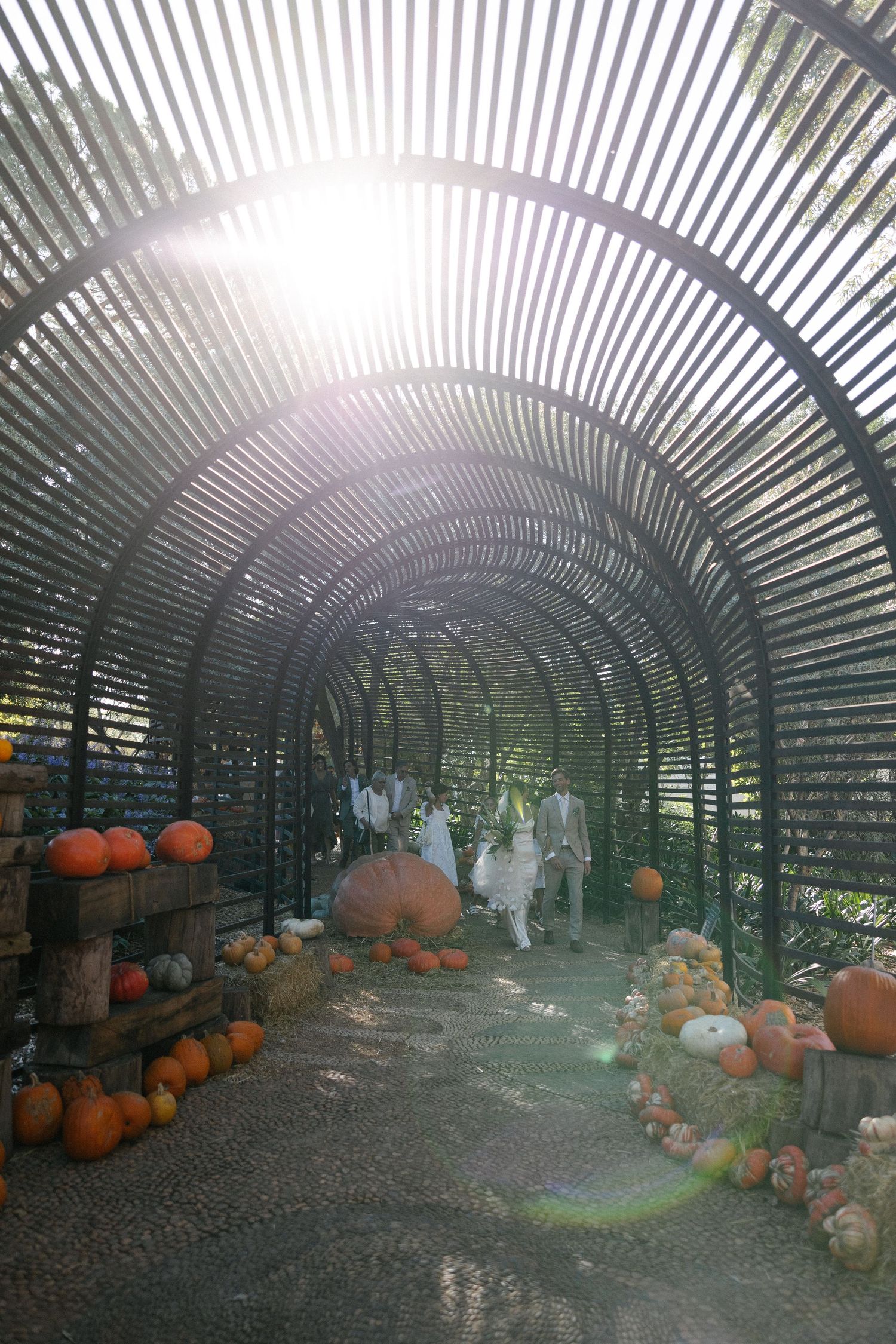 Allert and Lauren at Babylonstoren, documentary wedding photos capturing authentic celebrations.