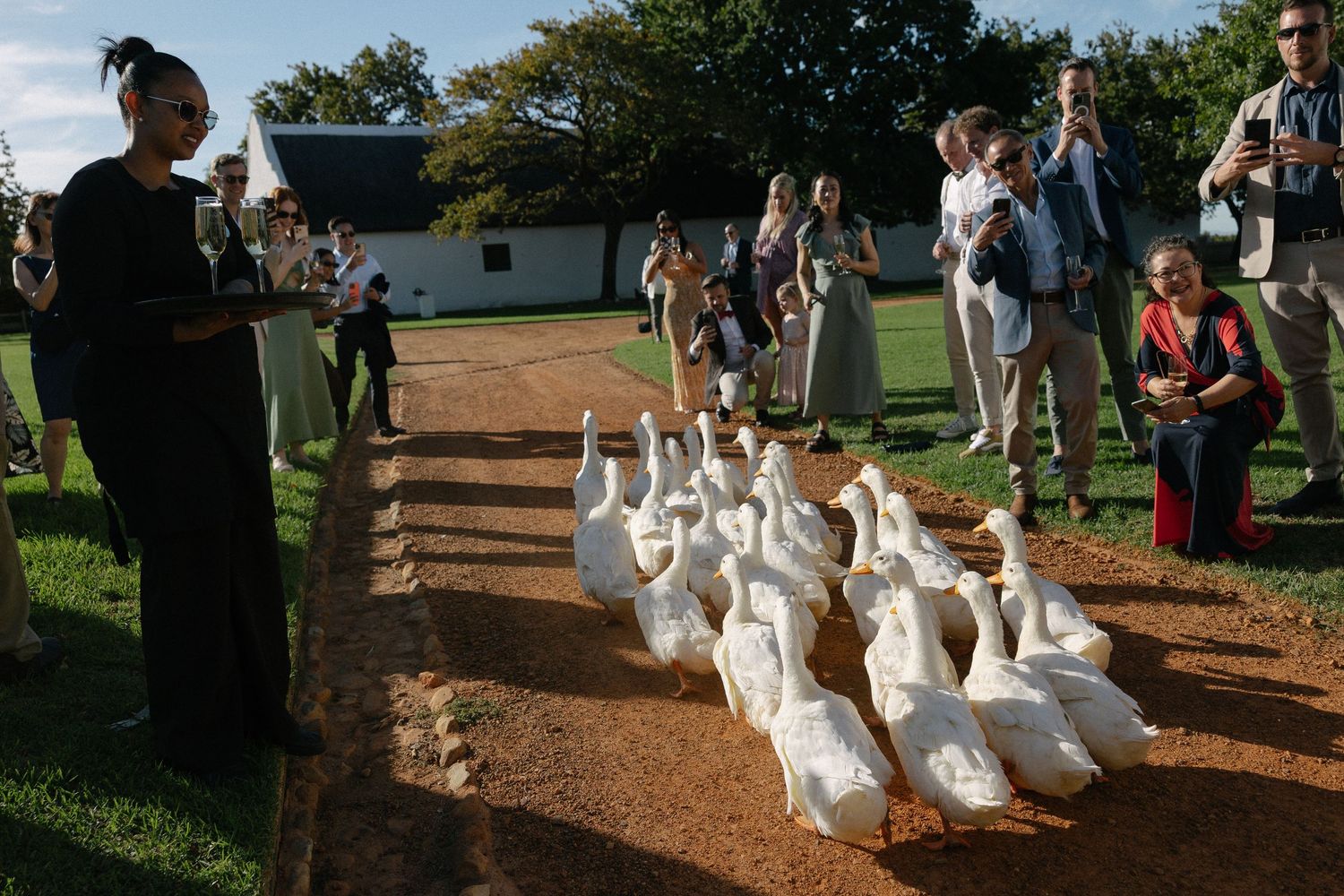 Allert and Lauren at Babylonstoren, documentary wedding photos capturing authentic celebrations.