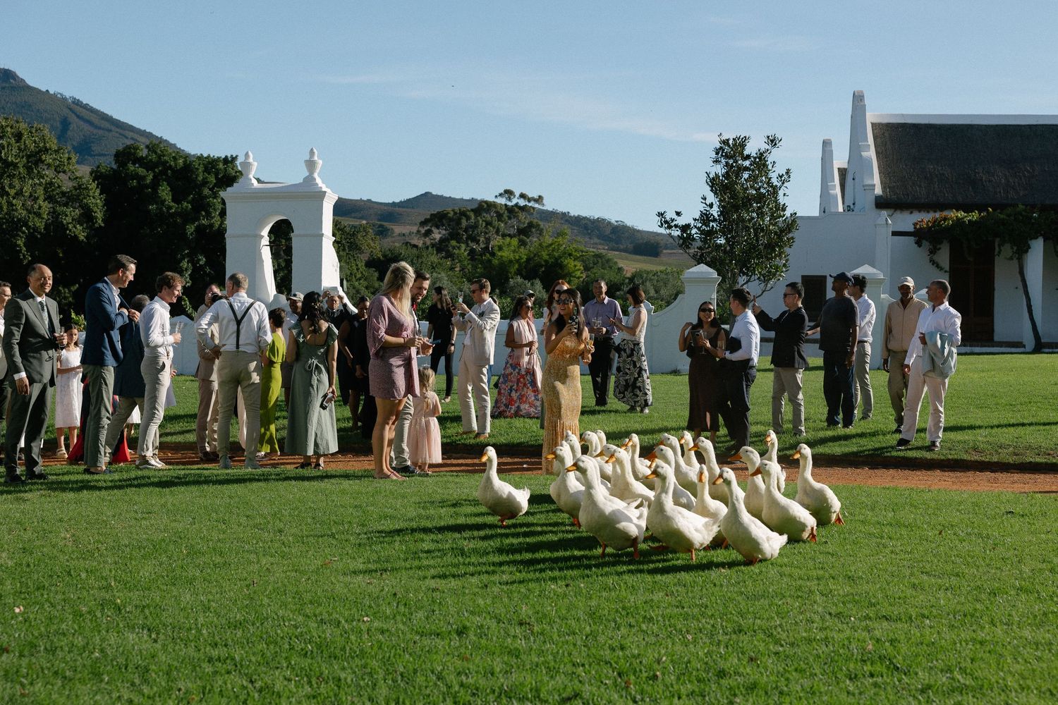 Allert and Lauren at Babylonstoren, documentary wedding photos capturing authentic celebrations.