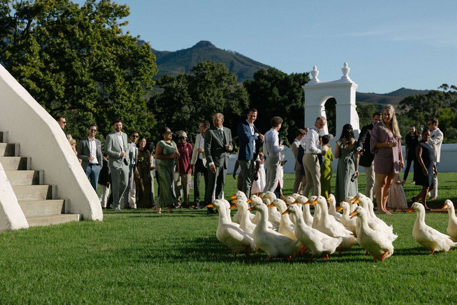 Allert and Lauren at Babylonstoren, documentary wedding photos capturing authentic celebrations.