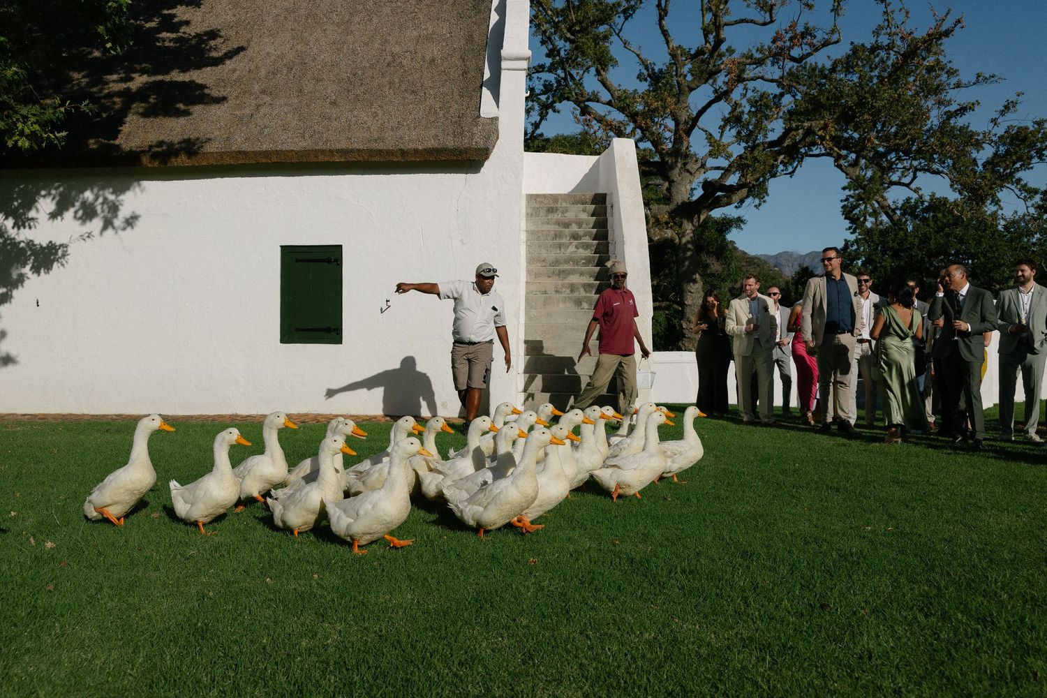 Allert and Lauren at Babylonstoren, documentary wedding photos capturing authentic celebrations.