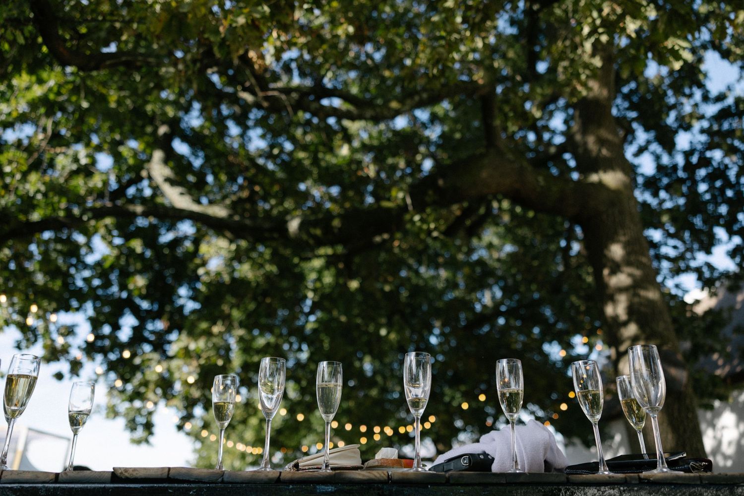 Allert and Lauren at Babylonstoren, documentary wedding photos capturing authentic celebrations.