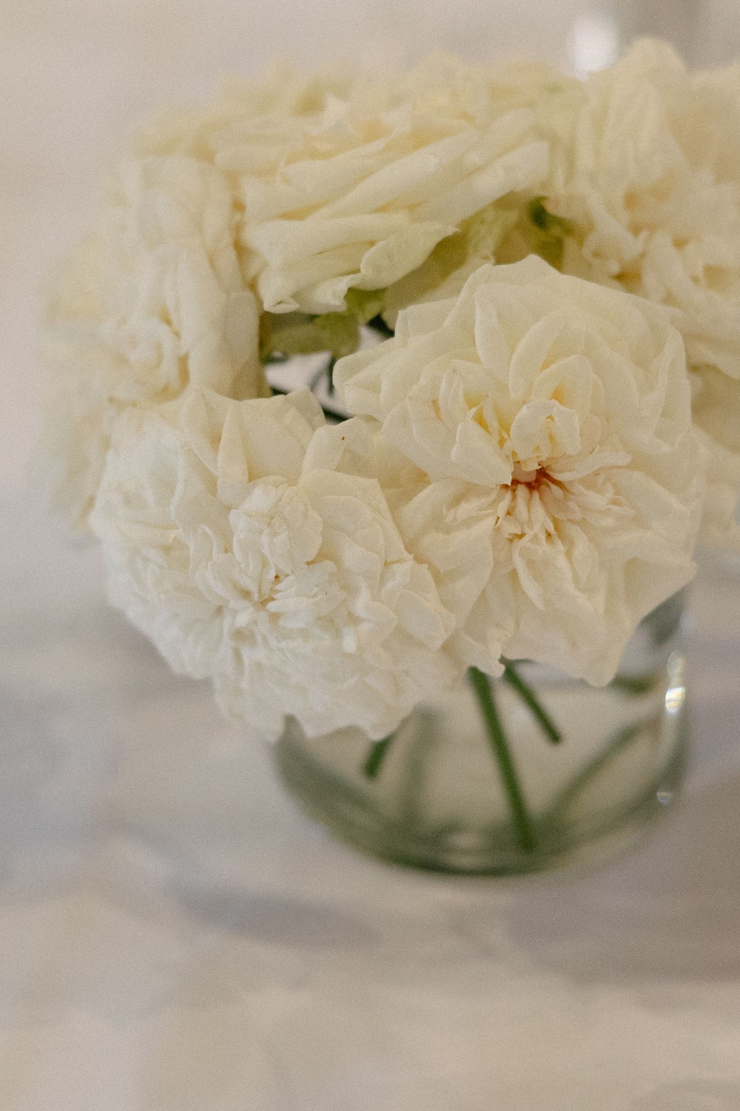 Allert and Lauren at Babylonstoren, documentary wedding photos capturing authentic celebrations.