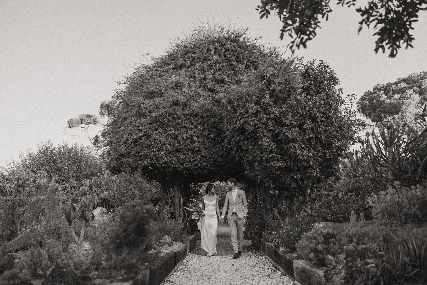 Allert and Lauren at Babylonstoren, documentary wedding photos capturing authentic celebrations.