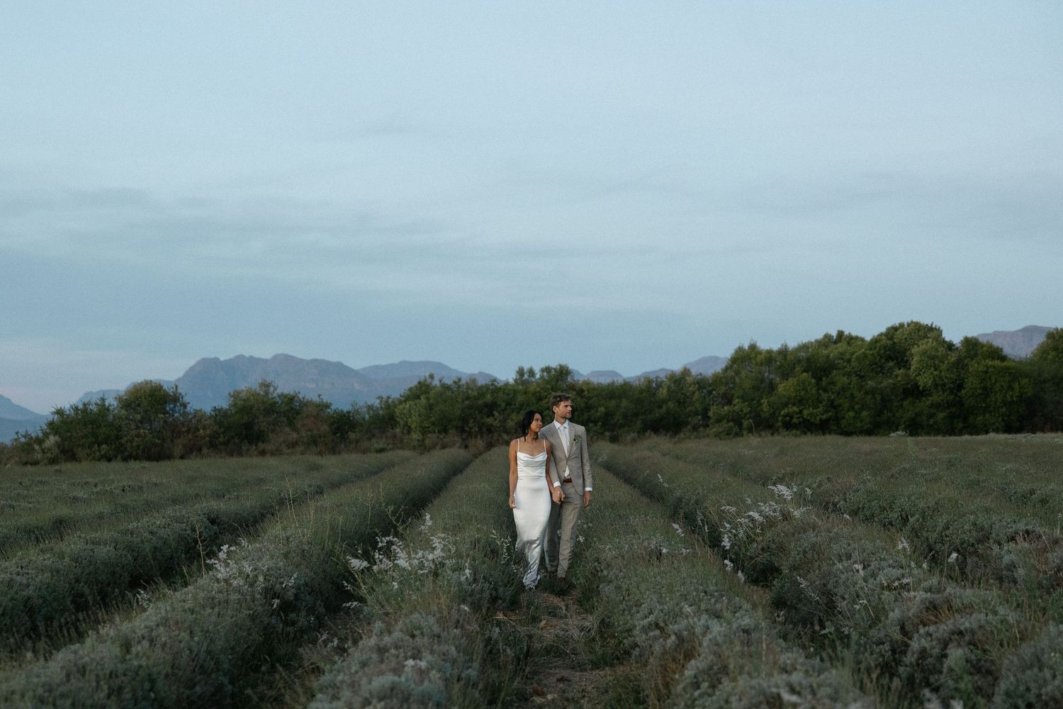 Allert and Lauren at Babylonstoren, documentary wedding photos capturing authentic celebrations.