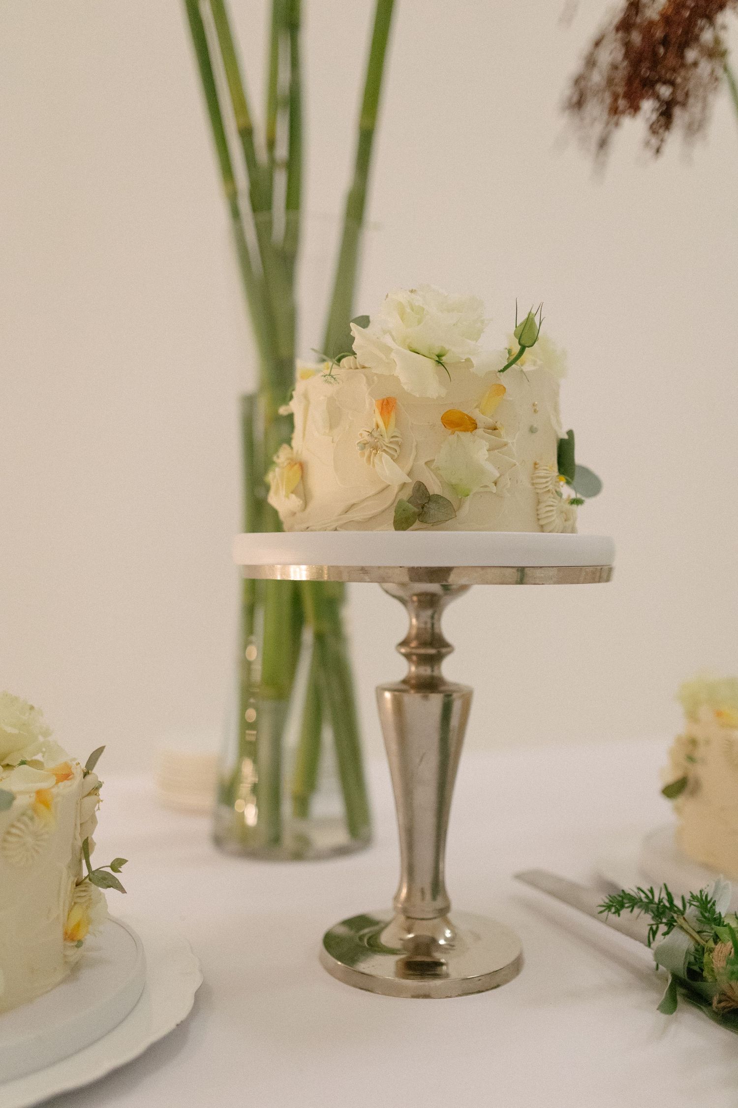Allert and Lauren at Babylonstoren, documentary wedding photos capturing authentic celebrations.