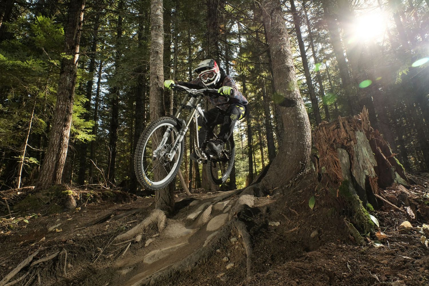 Mountain bike rider navigating downhill trail through sunlit forest terrain.
Whistler Mountain Bike Park