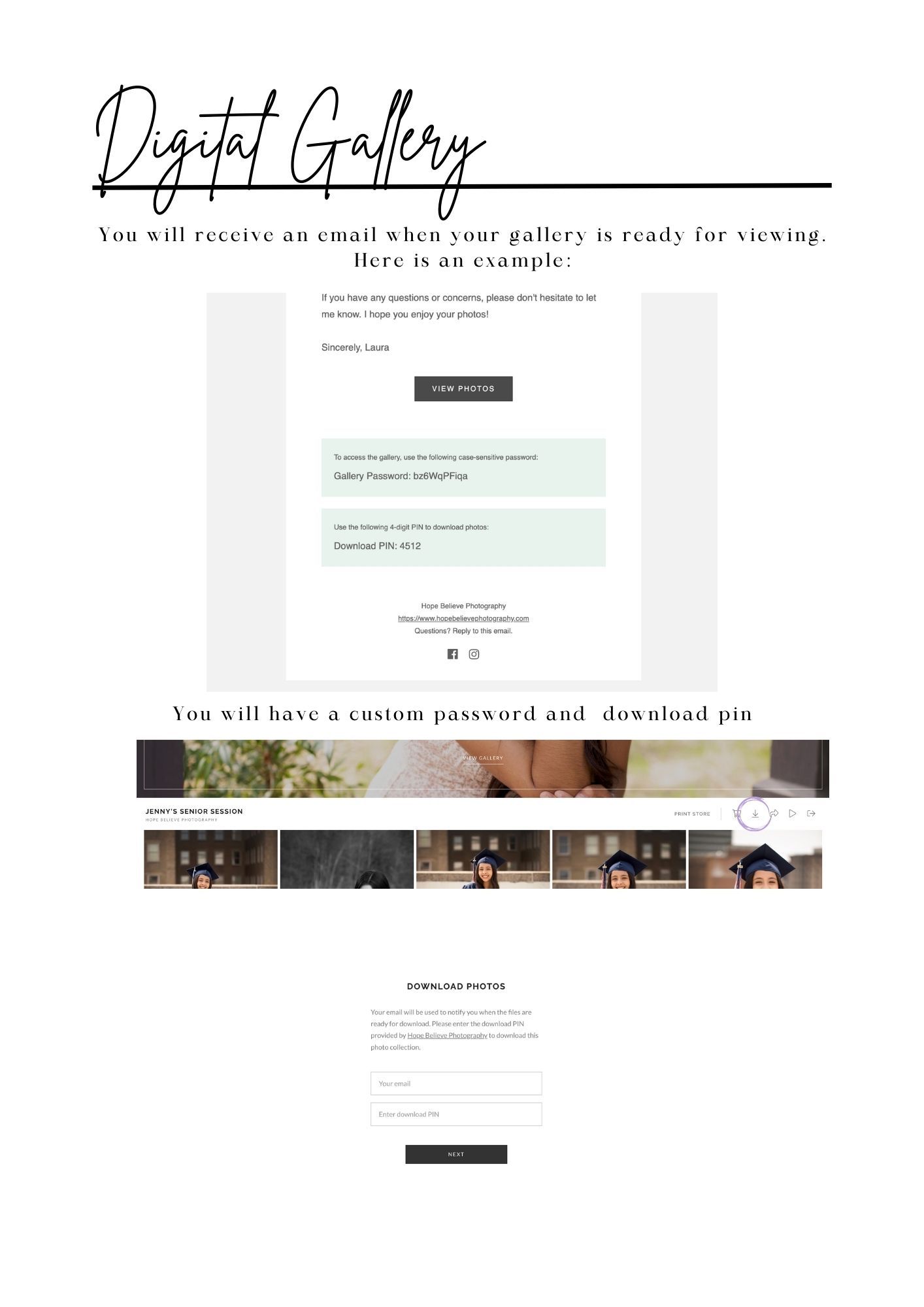 Digital gallery interface example showing online photo viewing platform.