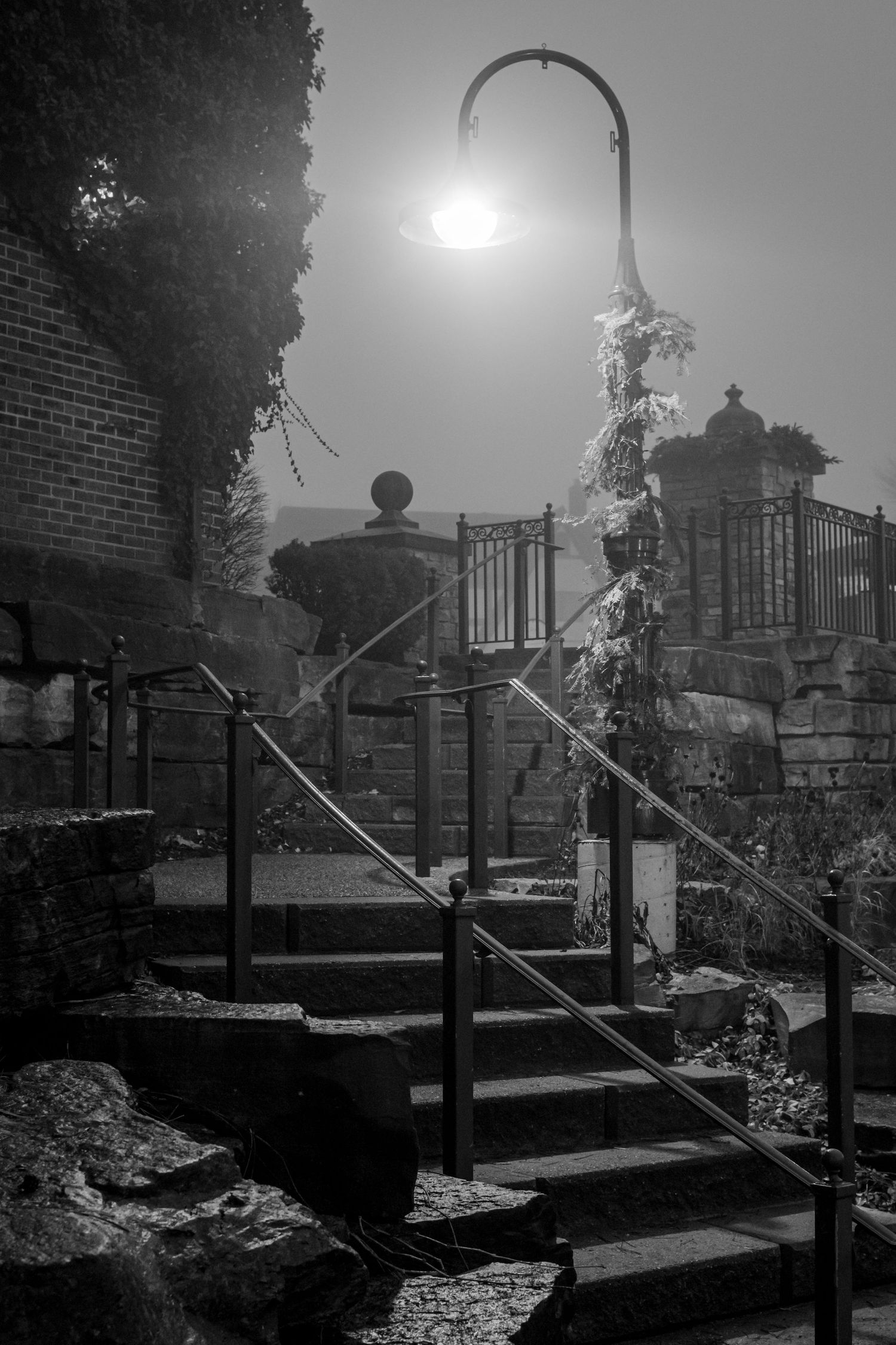 Stone steps with ornate railings and vintage lamp post in black and white.