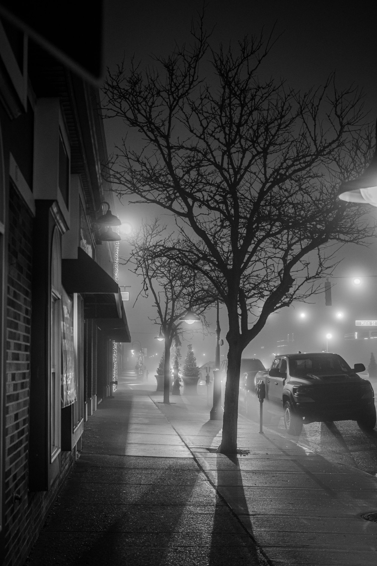 Bare winter trees lining a misty urban sidewalk at night with parked cars and street lamps.