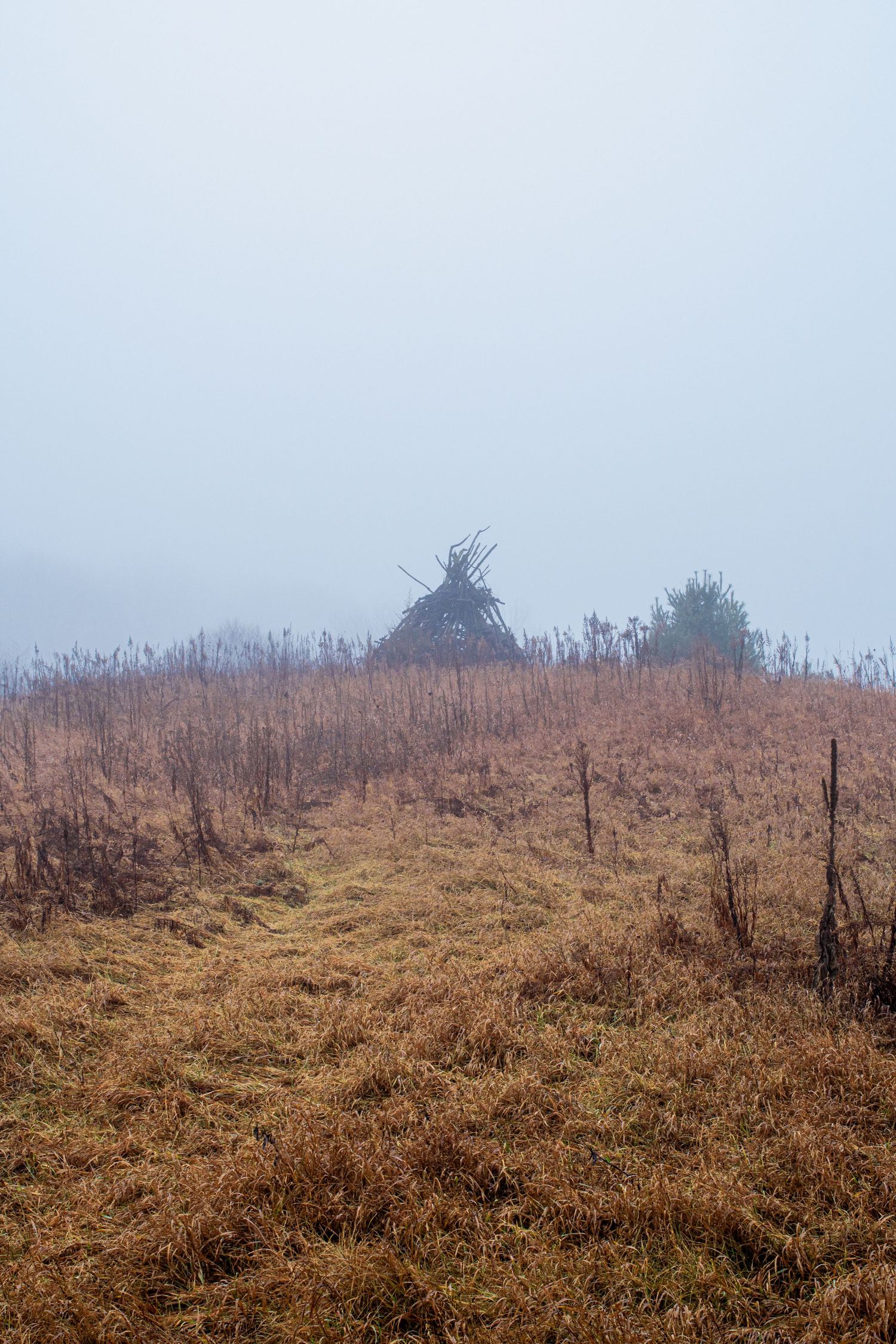 A barren hilltop with dried grass emerges through thick white fog.