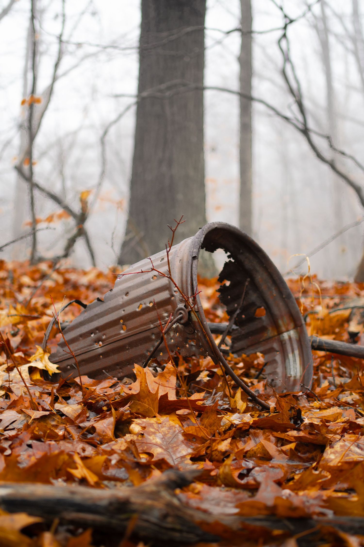 An overturned trash can spills onto autumn leaves in a misty forest setting.