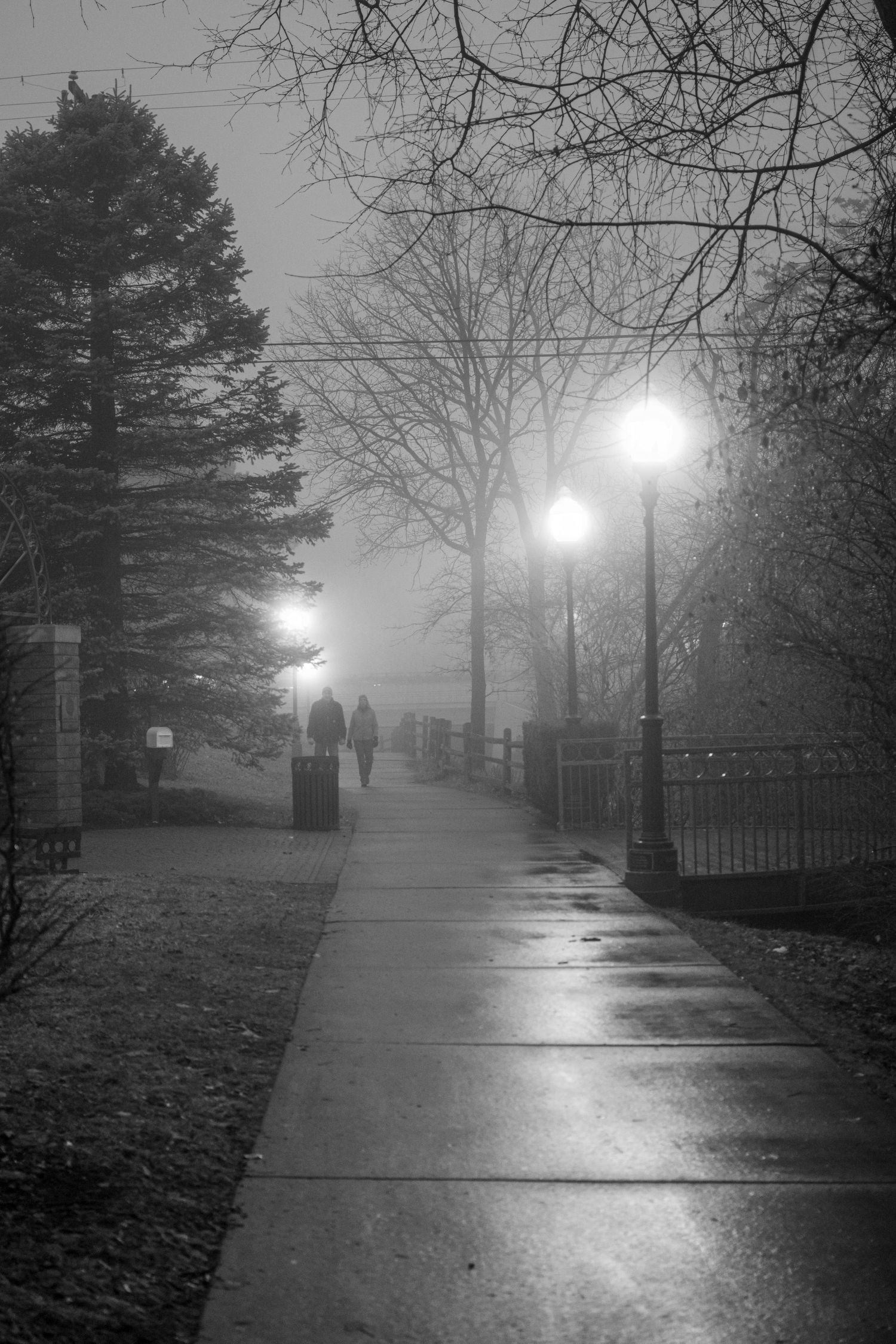 Foggy pathway lit by glowing lampposts on a wet evening.