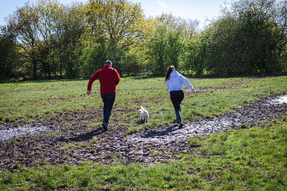 People walking dogs across muddy field on sunny autumn day.
