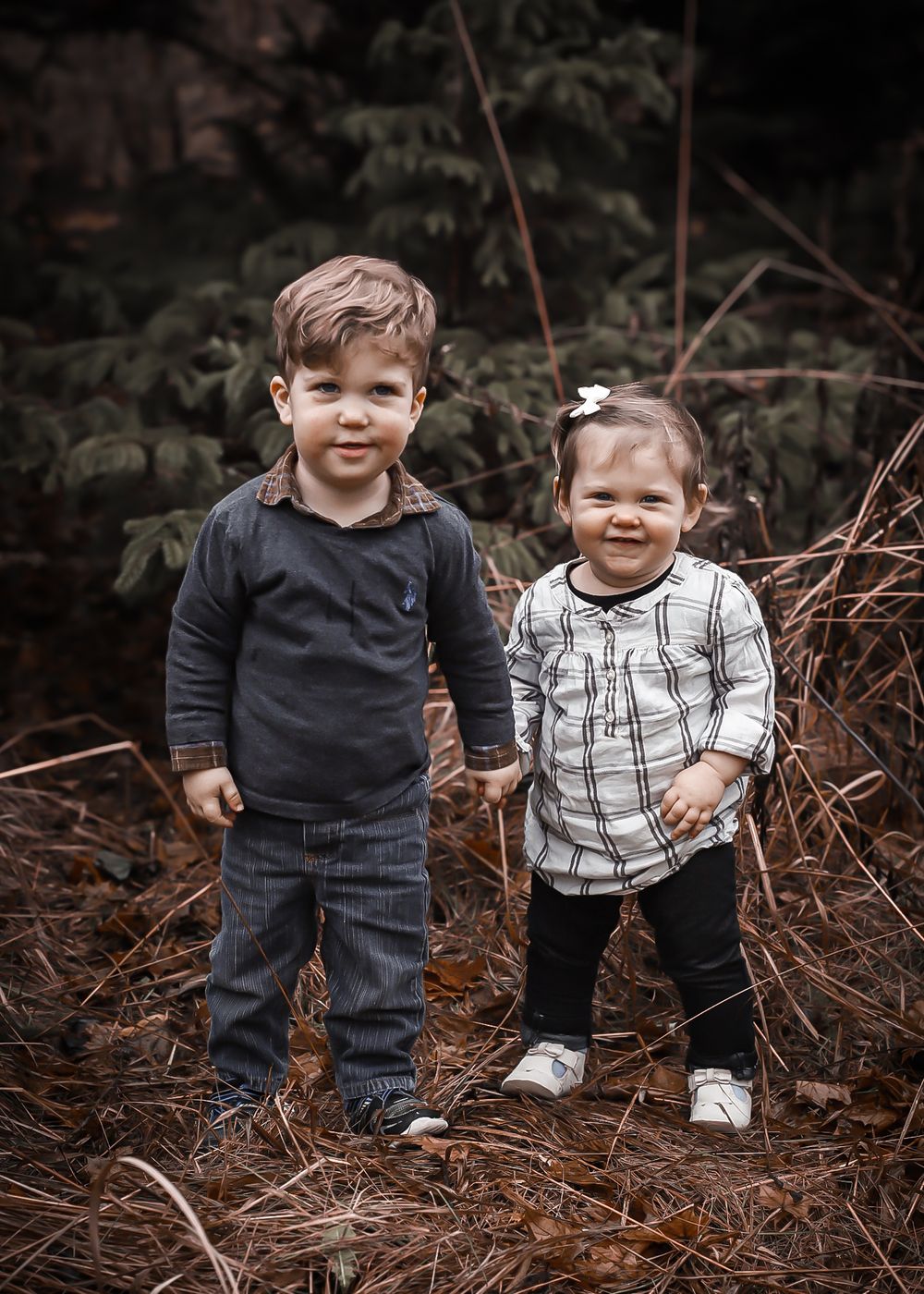 Family Portrait
Professional Photographer Janesville Wisconsin
outdoors
natural light photography