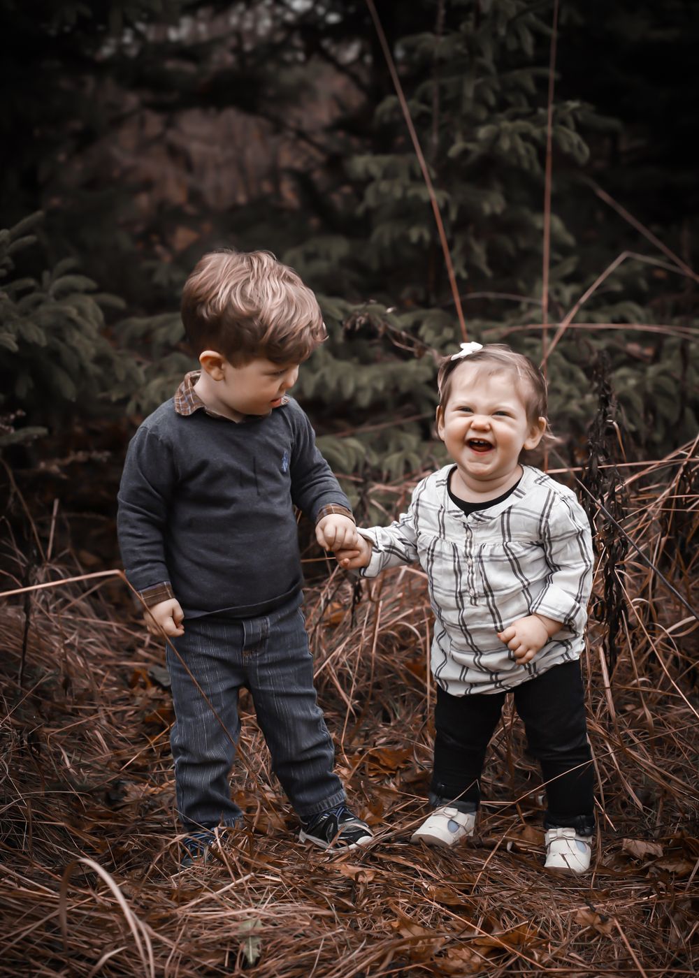 Family Portrait
Professional Photographer Janesville Wisconsin
outdoors
natural light photography