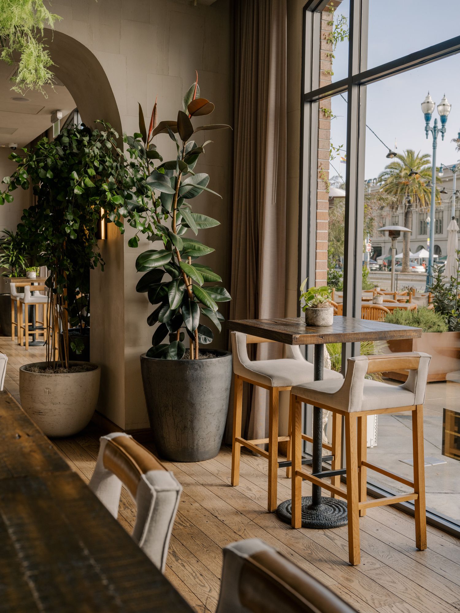 Modern cafe interior with large potted plants by window, wooden bar stools and natural light streaming in.