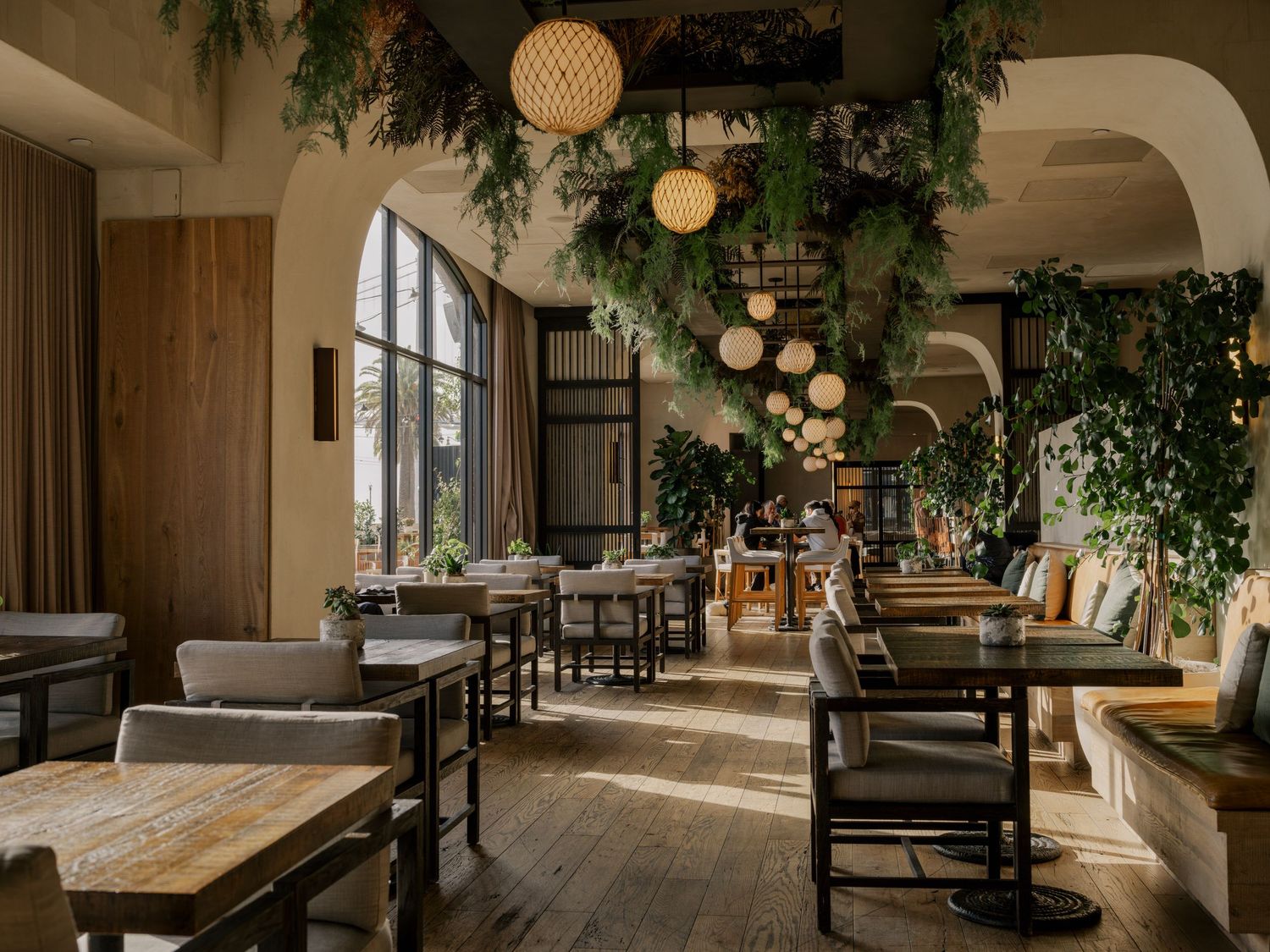 Rustic restaurant interior with wooden tables, hanging wicker lamps, and lush green plants cascading from the ceiling.