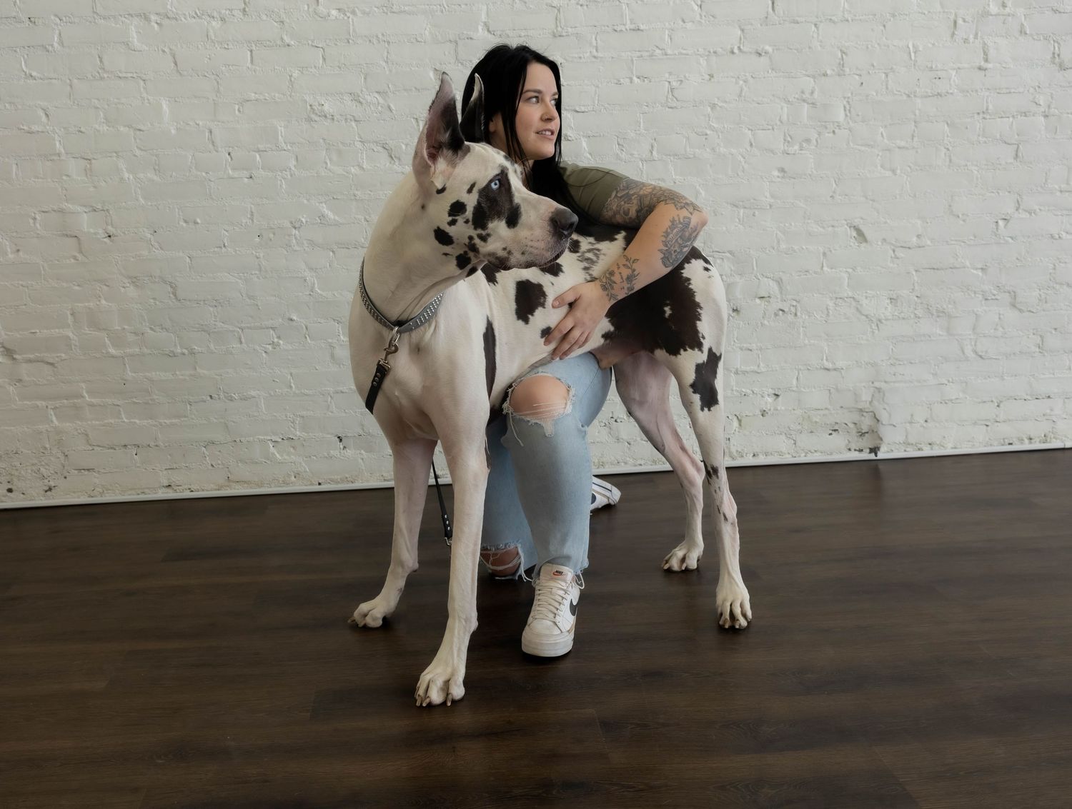 Portrait session in Bismarck North Dakota at Poppy Creative Studio featuring woman with Great Dane dog