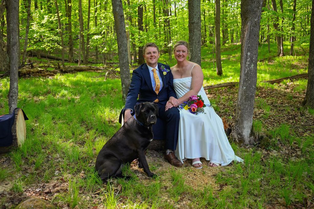 Bride and groom pose with black dog in lush green forest wedding photo.