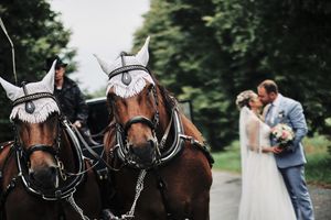 Fotograf za vencanje
Wedding photographer party on the wedding day Traunreut Germany
Wedding session
horse-drawn carriage