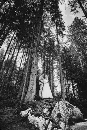 Fotograf za vencanje
Wedding photo session Zauberwald Germany
Couple on rock in Alps forest 
Bride and groom
Wedding photographer