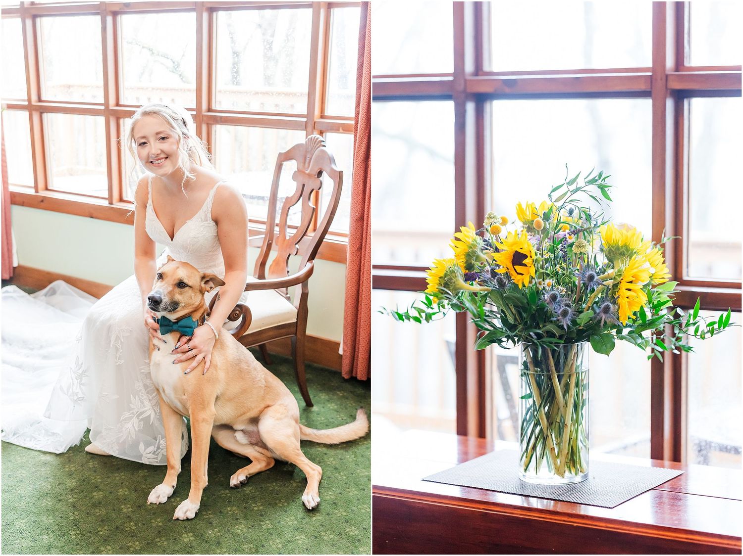 Sweet dog poses with someone in a white wedding dress by a sunny window with yellow flower arrangement.