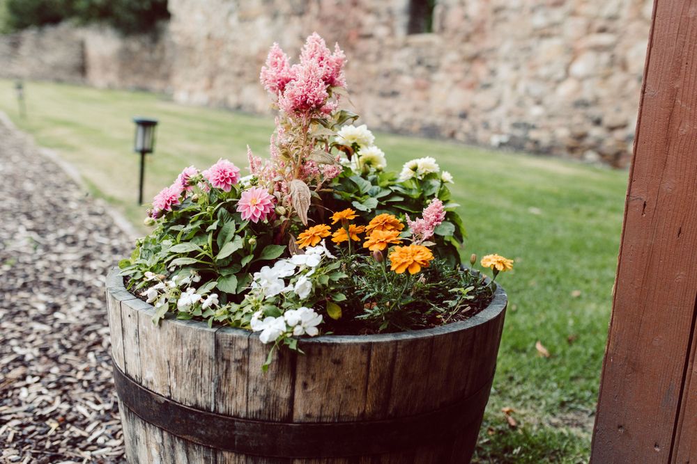 Wooden barrel planters filled with colorful pink and orange flowers against stone wall.