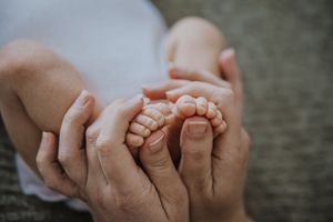 A series of close-up photos showing adult hands tenderly holding tiny baby hands and feet.