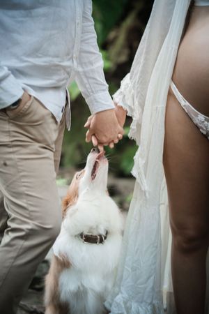 A white fluffy dog reaches up to sniff clasped hands at an outdoor wedding ceremony.