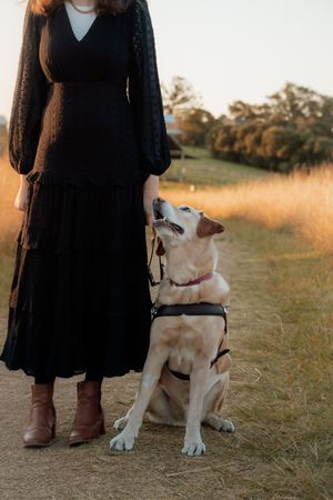 Woman in black dress with brown boots standing beside a golden Labrador in a harness on a rural path at sunset.