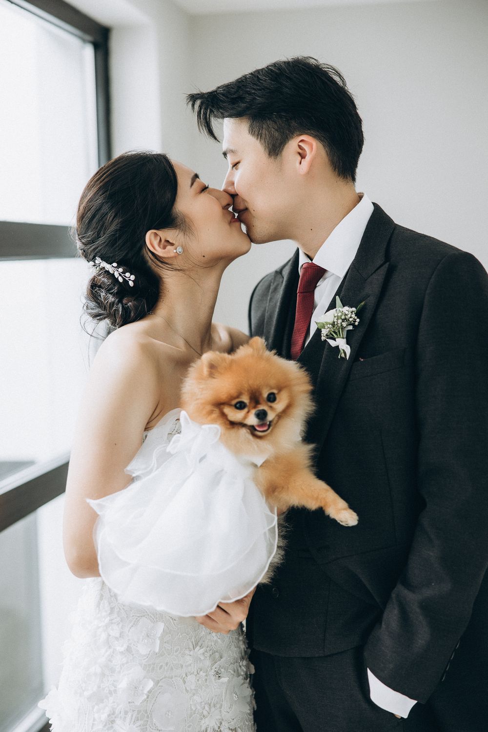 Newlyweds share intimate moments while holding an adorable Pomeranian dog in wedding attire.