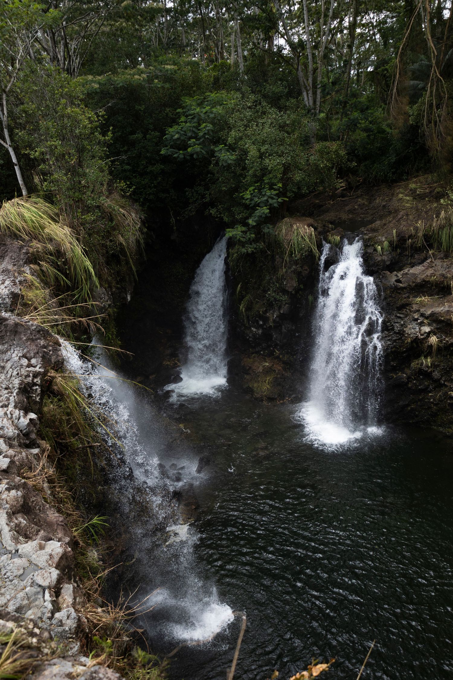 Multiple cascading waterfalls flow into a dark pool surrounded by lush tropical vegetation and rocky cliffs in a forest setting.