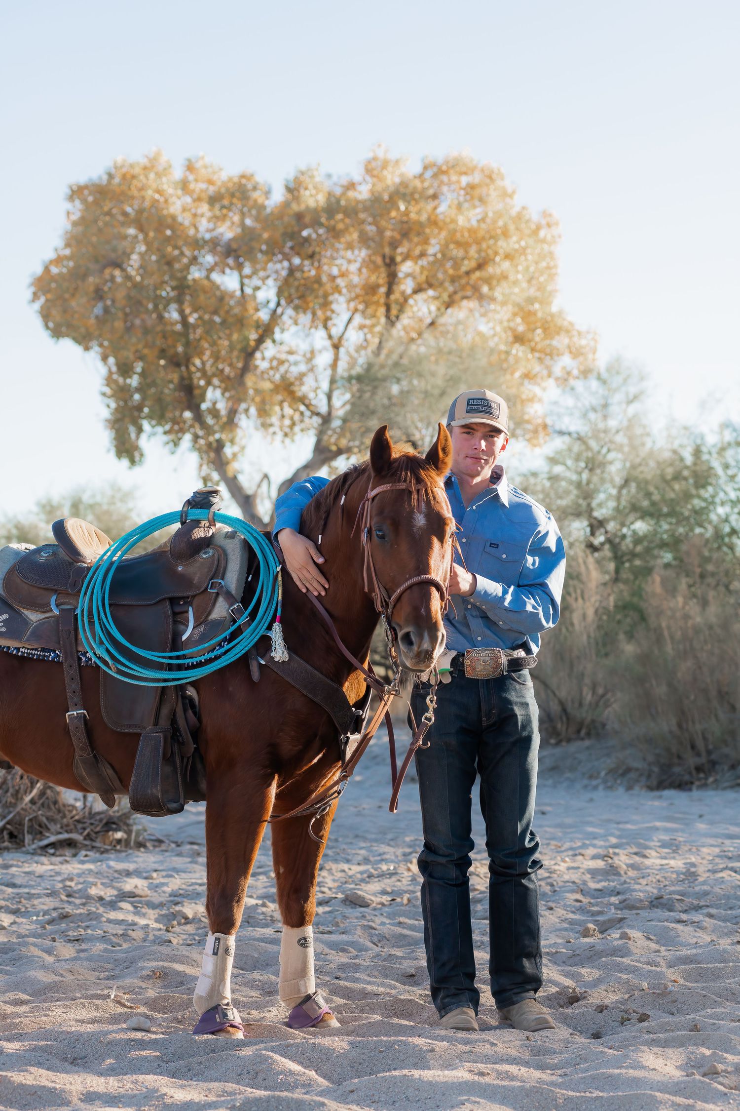 A horse with a turquoise rope, saddled, stands on sandy ground with autumn trees in the background.