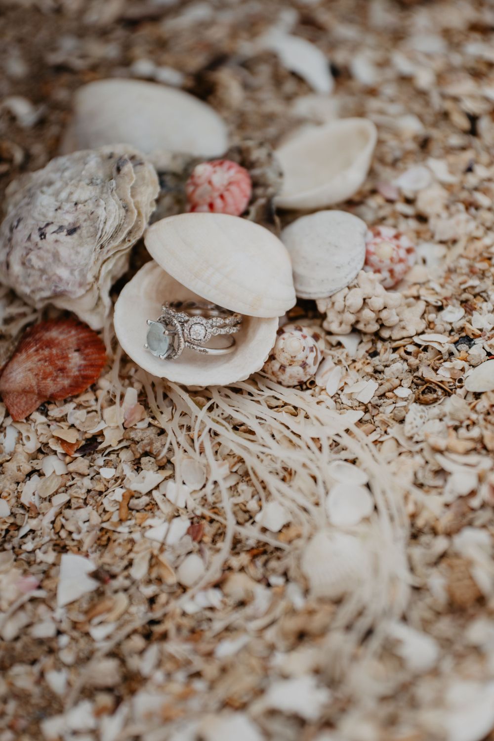 Diamond engagement ring nestled in a seashell surrounded by sand and coral beach elements.
